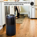 Instant® Air Purifier AP300