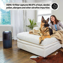 Instant® Air Purifier AP300